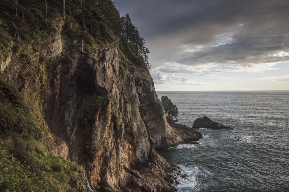 Some spectacular coastline is found at Oswald West State Park Manzanita Oregon United States of America Canvas Art - Robert L Potts Design Pics (19 x 12)