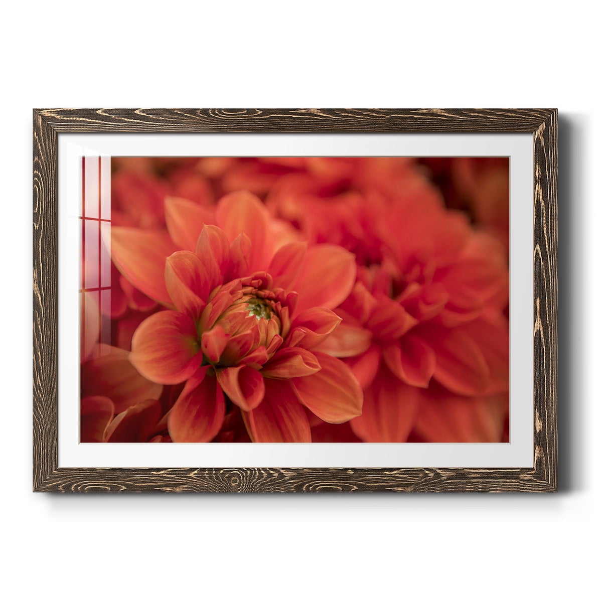 Spring Fire-Premium Framed Print - Ready to Hang