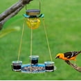 thumbnail image 1 of sruoe Bird Feeder, Hanging Bird Feeder Tray, Bird Feeders Outdoor, Cardinal Bird Feeder, Hopper Feeder, Small Large Bowl Wild Bird Feeders for Garden Decor, Iron, 1 of 6