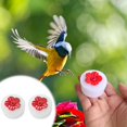 thumbnail image 1 of sruoe Hummingbird Feeder, Hanging Hummingbird Feeder Outdoor, Small Hummingbird Feeders, Ant Moat Perch Decor Bird Feeders for Garden Patio Window Backyard, Plastic, 1 of 5