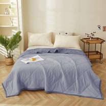 sruoe Summer Cooling Quilt, Quilts for Queen Bed, Thin Comforter, Air Conditioning Quilt, Full Bed Size Cooling Quilt, Reversible Hypoallergenic Lightweight Summer Quilt for Bedding