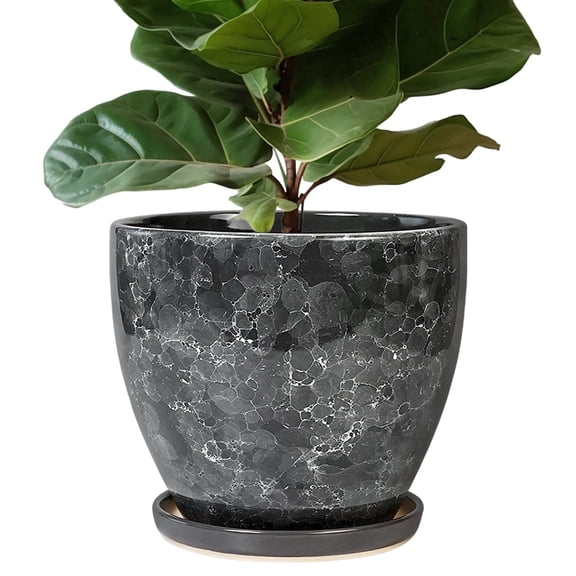 stillaflora 10 inch Grey-Glaze Ceramic Planter with Drainage & Saucer | Large Round Flower Pots for Indoor Plants & Orchids | Office Decor