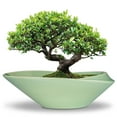 thumbnail image 1 of stillaflora 18 Inch Wide Shallow Green Ceramic Plant Pot - Indoor Bonsai Planter for Ficus, Money Tree & Bonsai Decor, 1 of 7