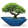 thumbnail image 1 of stillaflora 18 inch Ceramic Blue Shallow Bonsai Planter - Wide Decorative Plant Pot for Ficus Bonsai, Succulents & Indoor Plants, 1 of 7