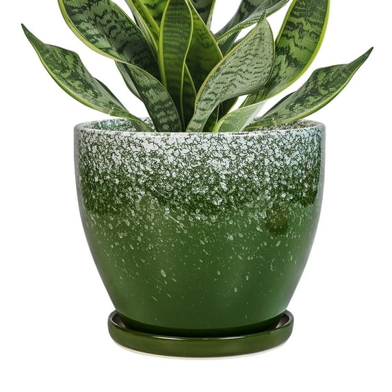 Stillaflora 6 inch Green Ceramic Plant Pot with Drainage Hole & Saucer,Decorative Indoor Planter for African Violet & Air Plants