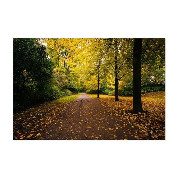 Østre Anlæg - Copenhagen Denmark Photography Unframed Wall Art Print 16 x 24 inches