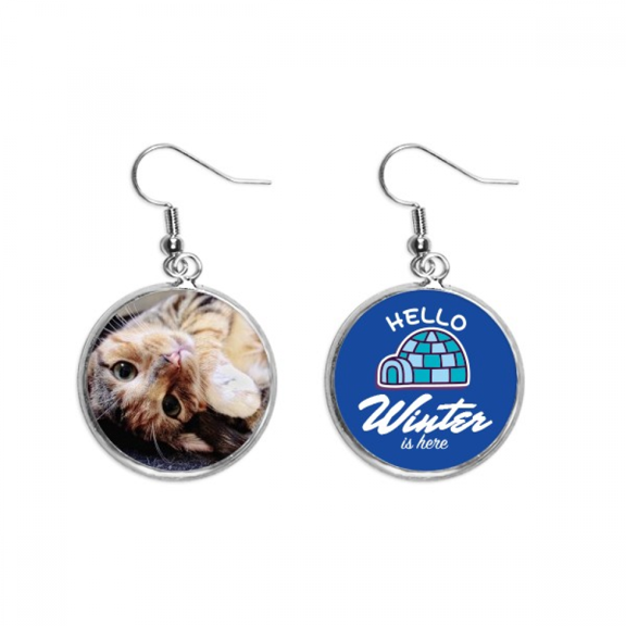 stripes kitty cat relax animal adorable dangle drop winter ice earring jewelry