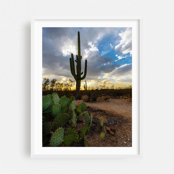 A stunning desert landscape bathed in sunset hues - Arizona Photography Desert Cactus Landscape Nature Sunset Scenic Wilderness White Framed Wall Art Print 9 x 12 inches