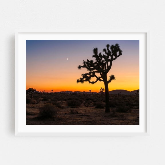 A stunning sunset paints the desert horizon in vibrant hues - Joshua Tree California Photography Desert Sunset Cactus Silhouette Night Sky Moon Nature White Framed Wall Art Print 18 x 24 inches
