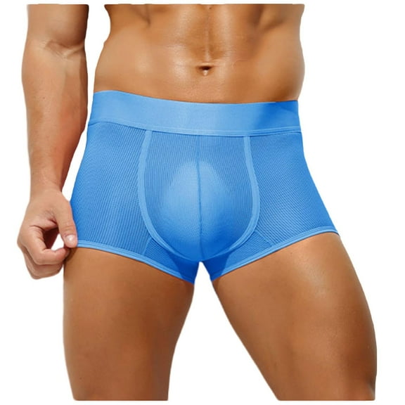 successthop Mens Underwear Silk Boxer Briefs Cool Mesh Trendy Sport Lightweight Breathable Solid Underpant Blue XL