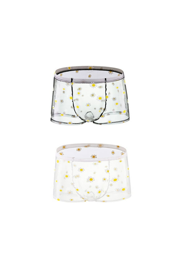 Mens Underwear with Pouch for Balls 2 Pack Cool Support Mesh Breathable Solid Boxer Brief Multiple Pack L