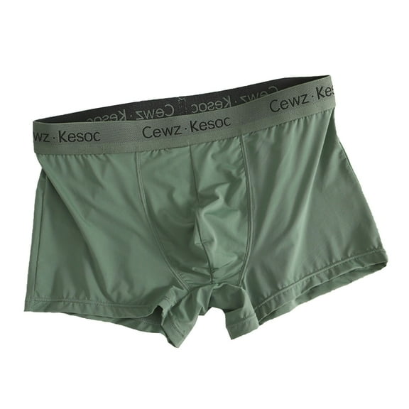 successthop Plus Size Underwear for Men Comfortable Underpant Soft Breathable Solid Everyday Wear Boxer Brief Green XL