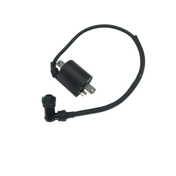 suitable for Ignition Coil For Buyang Feishen Linhai 260 260cc 300cc D300 G300 H300 ATV Quad Parts