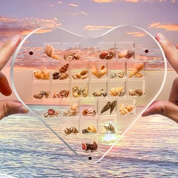 sunsanly Acrylic Magnetic Seashell Display Box 25 Grids Love Heart Small Crafts Natural Stone Nail Art Bead Charm Jewelry Storage Organizer Container Case