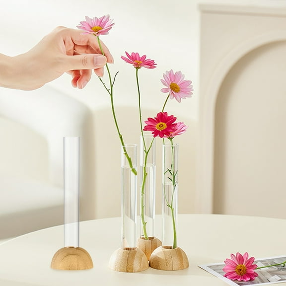 sunsanly Hydroponic Plants Test Tube Vase Clear Flower Vase with Wooden Stand Table Centerpiece Plants Propagation Vase Home Office Desktop Decoration