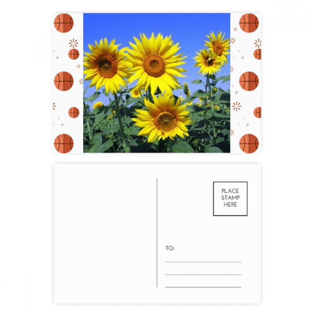 sunshine flowers sunflowers blue basketball postcard set thanks card mailing side 20pcs