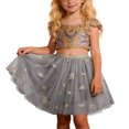 thumbnail image 1 of sususu Flower Girl Dresses for Wedding Girls Ballet Dance Party Dress with Embroidered Sequin Star Feathers and Skirt Dress&nbsp;Up Clothes for Girls, 1 of 6