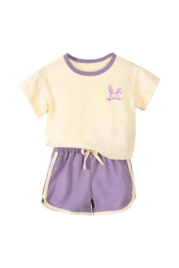 Girls Outfits 2 piece Summer Floral Print Outfit Set Casual Toddler Baby Clothes Two Piece T-Shirt and Shorts for Beach School Party,Purple,1-2 Years