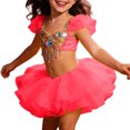 thumbnail image 1 of sususu Toddler Flower Girl Dress Girls Ballet Tutu Skirt Sparkly Leotard Dress For Dance Performance Recital Party Play Dress&nbsp;Up Clothes for Girls, 1 of 4