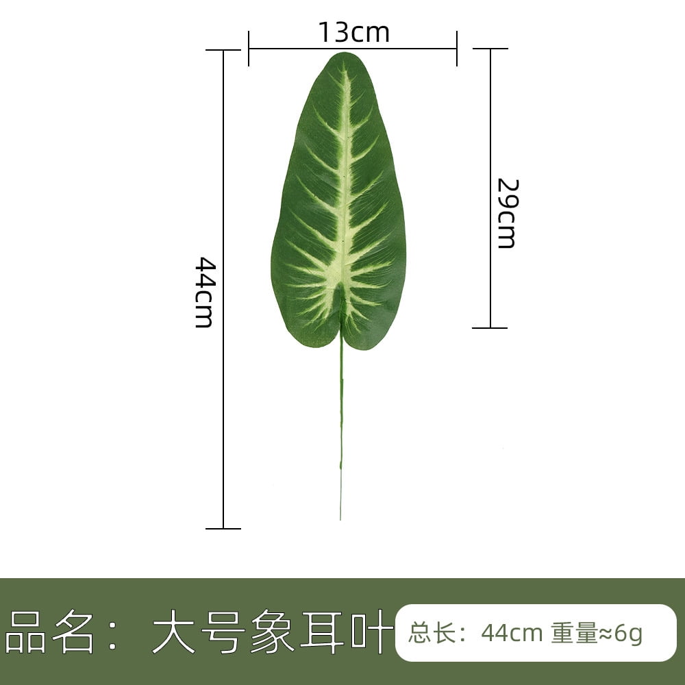 indoor wall hanging plants Buy Our Golden Pothos in Hanging Basket