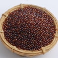 thumbnail image 1 of suxuMhao Dark Brown Nail Bubble Beads, 0.6-0.8MM 100g 3D Nail Decoration, Nails Art Stuff, Nails Art Accessories, Nail Charms, Mini Ornament Beads for DIY Nail Design Craft Decoration Supplies, 1 of 4