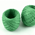 thumbnail image 1 of suxuMhao Raffia Paper Rope, 2 Rolls Dark Green Raffia String, Natural Raffia & Decorative Paper Rope, Braided Raffia Paper Cord & Craft Paper Rope, 21.8yd (20M) for DIY Crafts & Home Decor, 1 of 5