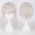 thumbnail image 1 of suxuMhao Silver White Short Wig 11.8 Inch Anime Cosplay Wig Synthetic Heat Resistant Fiber Universal Costume Wig for Role Play Comic Con Theme Party Stage Performance Daily Dress Up 1 Piece, 1 of 1