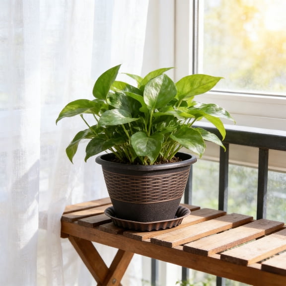 syligr 8 Inch Bronze Planter with Roman Rattan Indoor Outdoor Flower Pot for Small {lants Plastic Textured Enlarged for Balcony Garden Living Room Plant Lover Gift