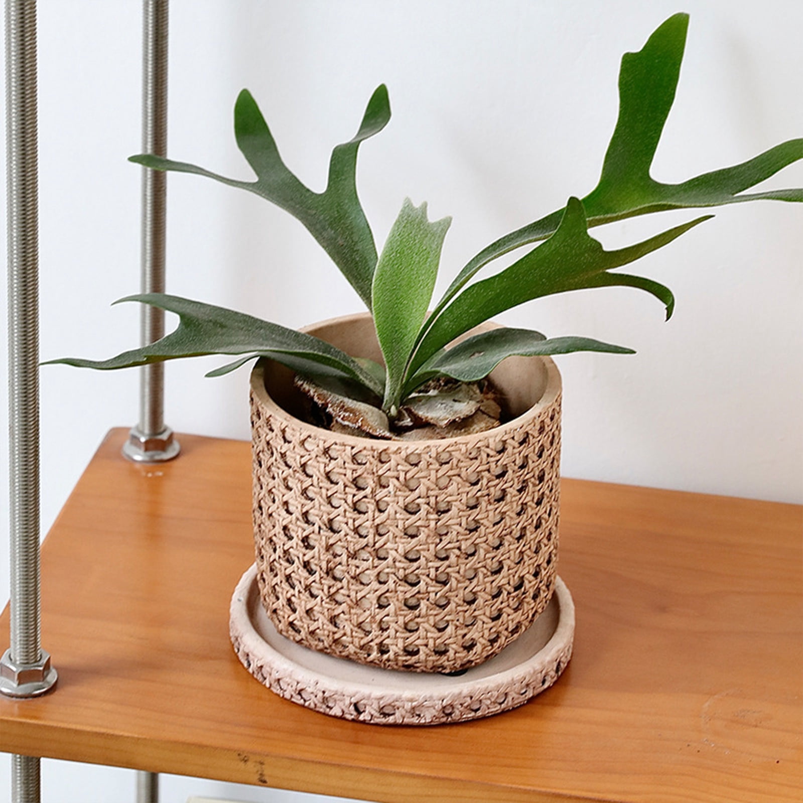 syligr Cement Planter with Saucer for Indoor Plant, Rattan Weave Pattern Pot with Drainage, Stone Look Flower Container for Herb, Decorative Gardening Pot for Patio Tabletop, 5x5x4 Inch