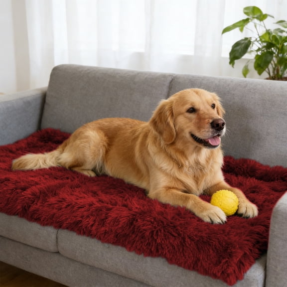 syligr Pet Blanket Furry Throw 22x14 Inch Soft Warm for Dogs Cats Crate Couch Car Bedding Four Season Washable Long Fiber Plush Cozy Breathable Lightweight Portable Travel Home Decor Gift for Pet