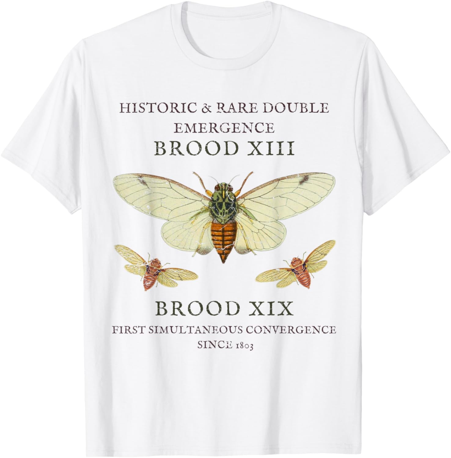 t-shirt Cicada Emergence 2024 Event Brood XIX & XIII Cicada Insect T ...