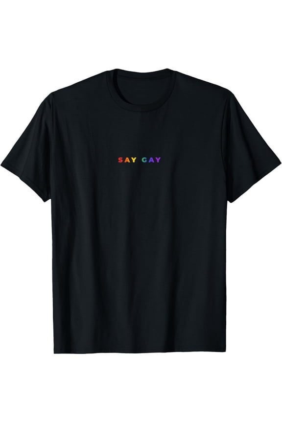 t-shirt Small Say Gay Rainbow Subtle Pride Florida Equality LGBTQ T-Shirt.