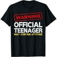 thumbnail image 1 of t-shirt Vintage Official Teenager 13th Birthday Boys Girls 13 Yr Old T-Shirt., 1 of 4