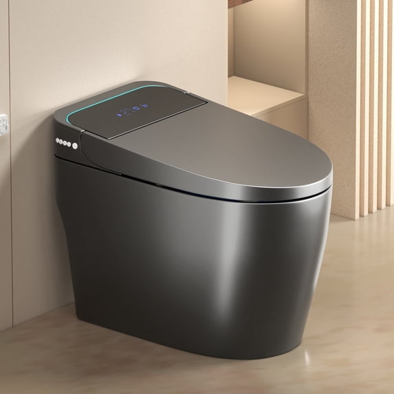 taoruifang Gray One Piece Smart Toilet, Built-in Bidet with Warm Water & Dryer, Auto Open Close Seat, Intelligent Toilet with Remote Control