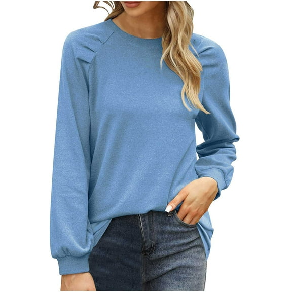 tarylea Business Casual Tops for Women Crew Neck Lantern Long Sleeve Tops Loose Office Work Shirts