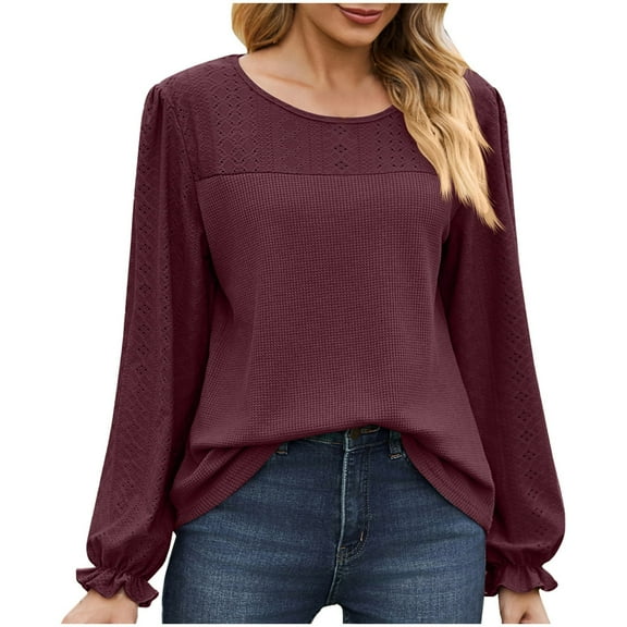 tarylea Casual Tops for Women Eyelet Blocked Shirts Crew Neck Long Lantern Sleeve Tops Loose Business Shirts