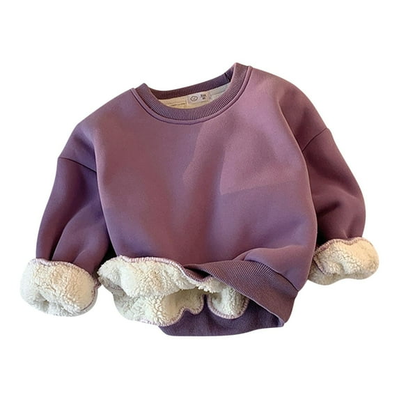tarylea Crew Neck Sweatshirt for Baby Girls Boys Thick Fleece Lined Long Sleeve Pullover Solid Color Loose Tops Casual Trendy Warm Winter Toddler Tops for 2-12 Years