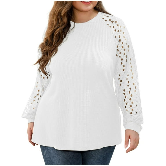 tarylea Over Size Tops for Women Crew Neck Lace Eyelet Long Sleeve Shirts Plunging Solid Color Blouse Dailywear