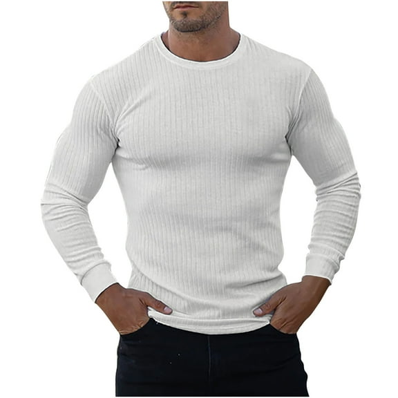 tarylea Sweaters for Men Long Sleeve Crew Neck Ribbed Knitted Slim Fitted Pullover Casual Stretch Comfy Fall Tops