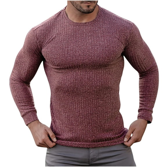 tarylea Sweaters for Men Long Sleeve Crew Neck Ribbed Knitted Slim Fitted Pullover Casual Stretch Comfy Fall Tops