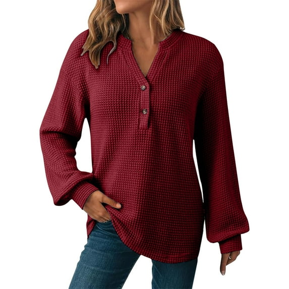 tarylea Womens Tops V Neck Chest Button Tunic Long Lantern Sleeve Solid Color Shirts Business Casual Tops Loose Fall Trendy Shirts