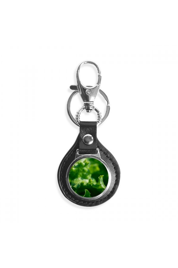 tender nature photography key link chain keyholder finder hook metal
