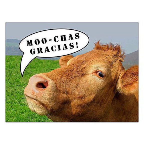Moochas Gracias Thank You Cards - Humor - Blank on the Inside - 12 Pack - 5.5" x 4.25"