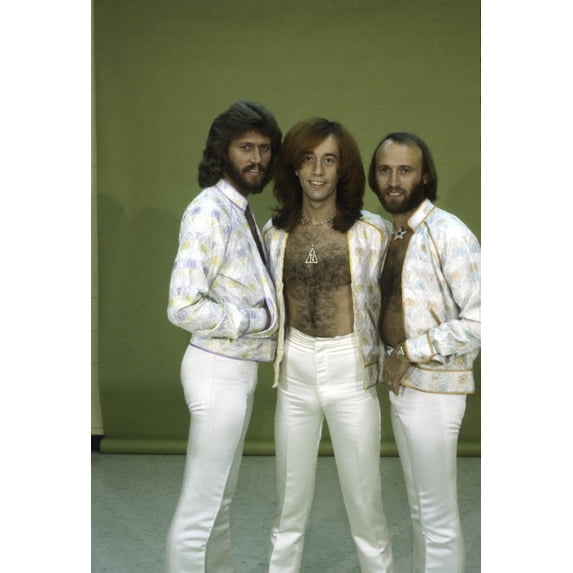 the Bee Gees Photo Print (8 x 10)