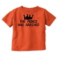 thumbnail image 1 of the Prince Has Arrived Handsome Son Youth T Shirt Tee Boys Infant Toddler Brisco Brands 5T, 1 of 5