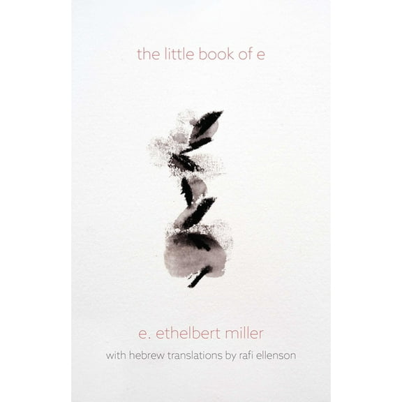 the little book of e (Paperback)