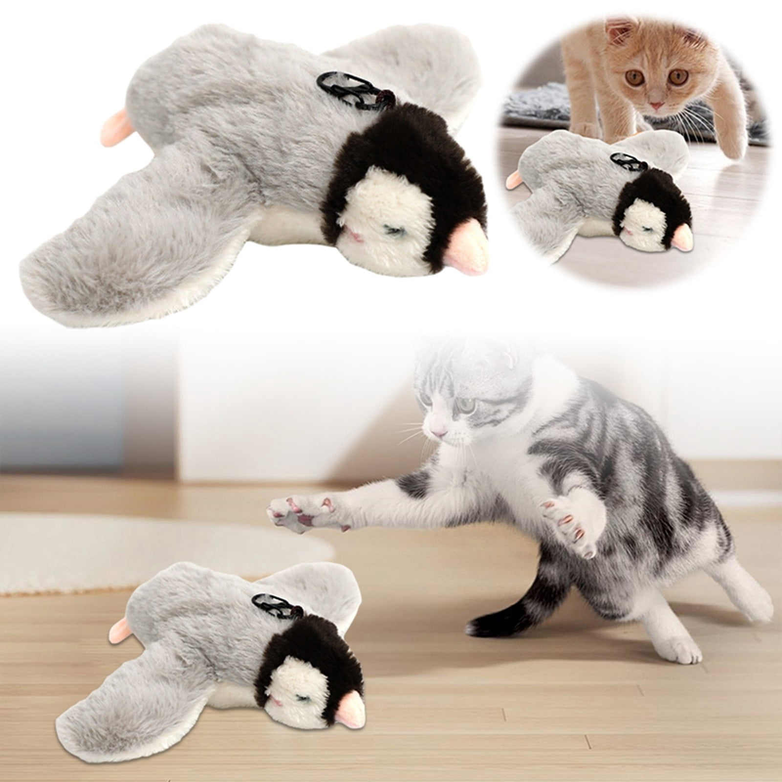 Gallery image with a fresh perspective