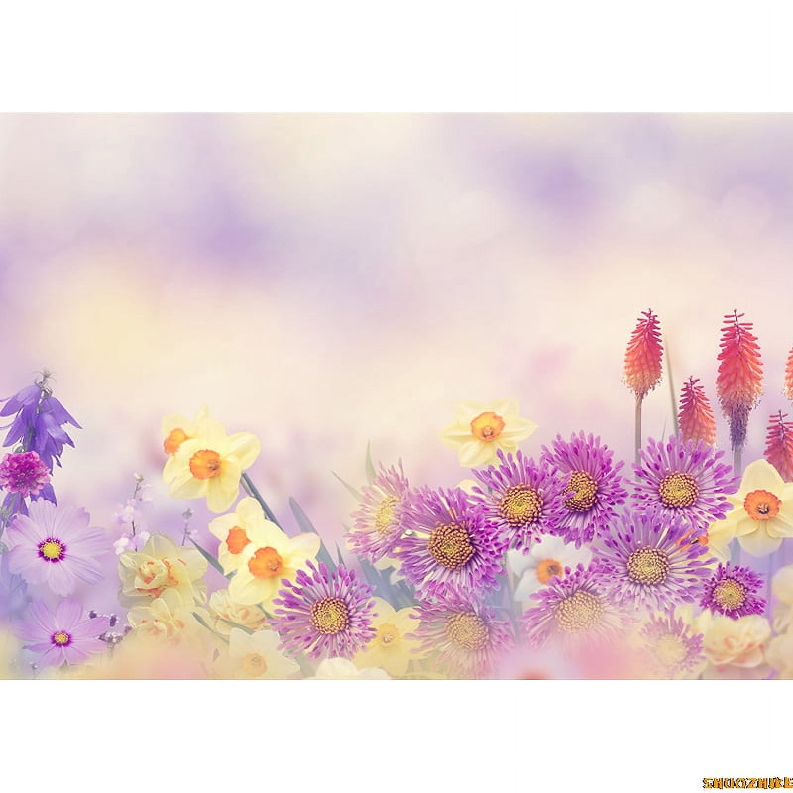 tic Wedding Photography Backdrops ration Props Flora Valtine's Day ...