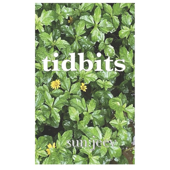 tidbits: from a vacation, (Paperback)