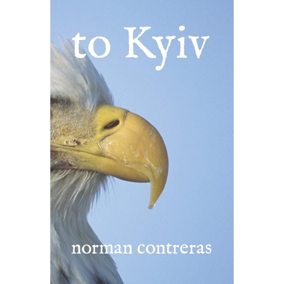 to Kyiv (Paperback)